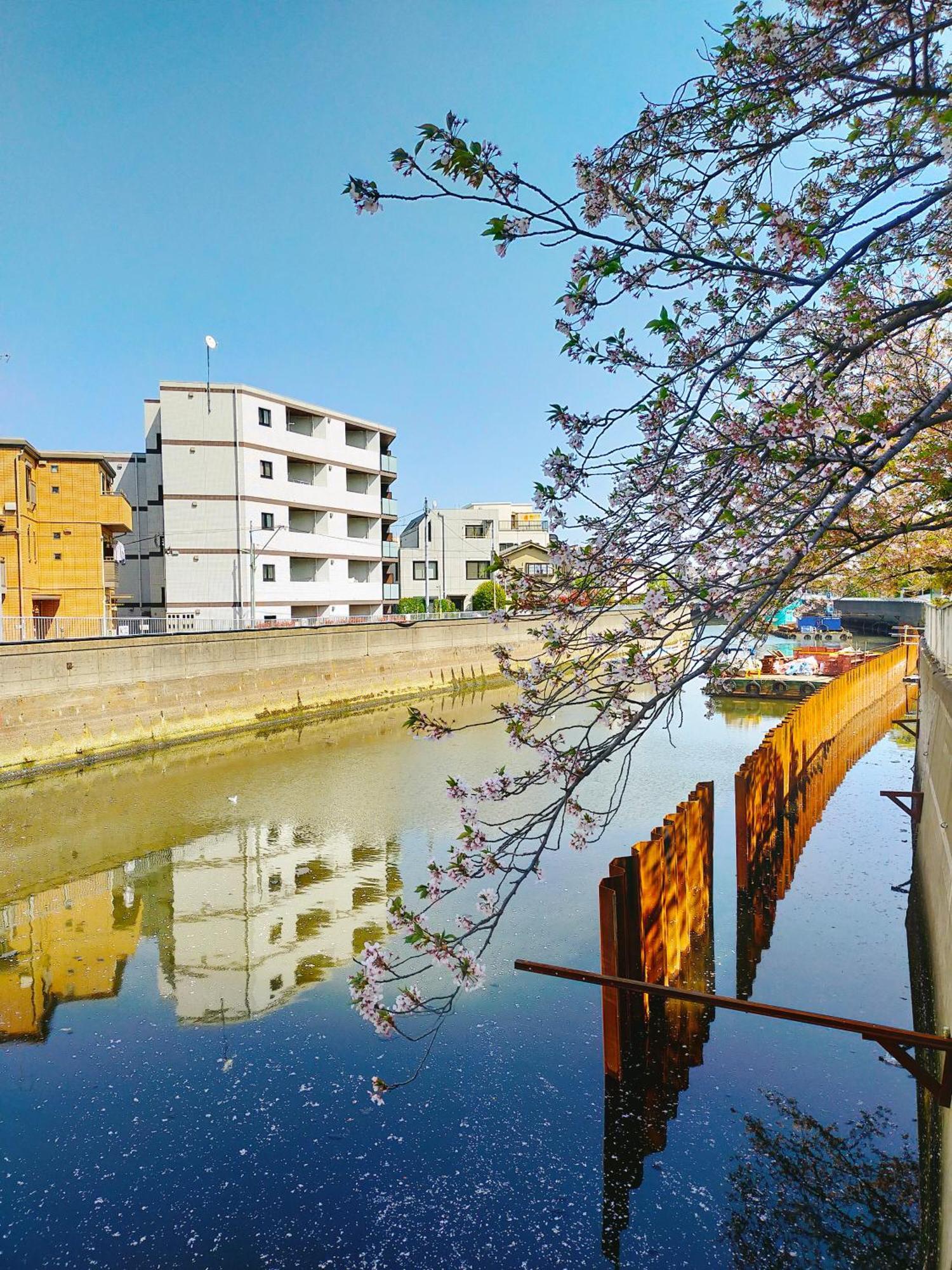 Homies House Kamata