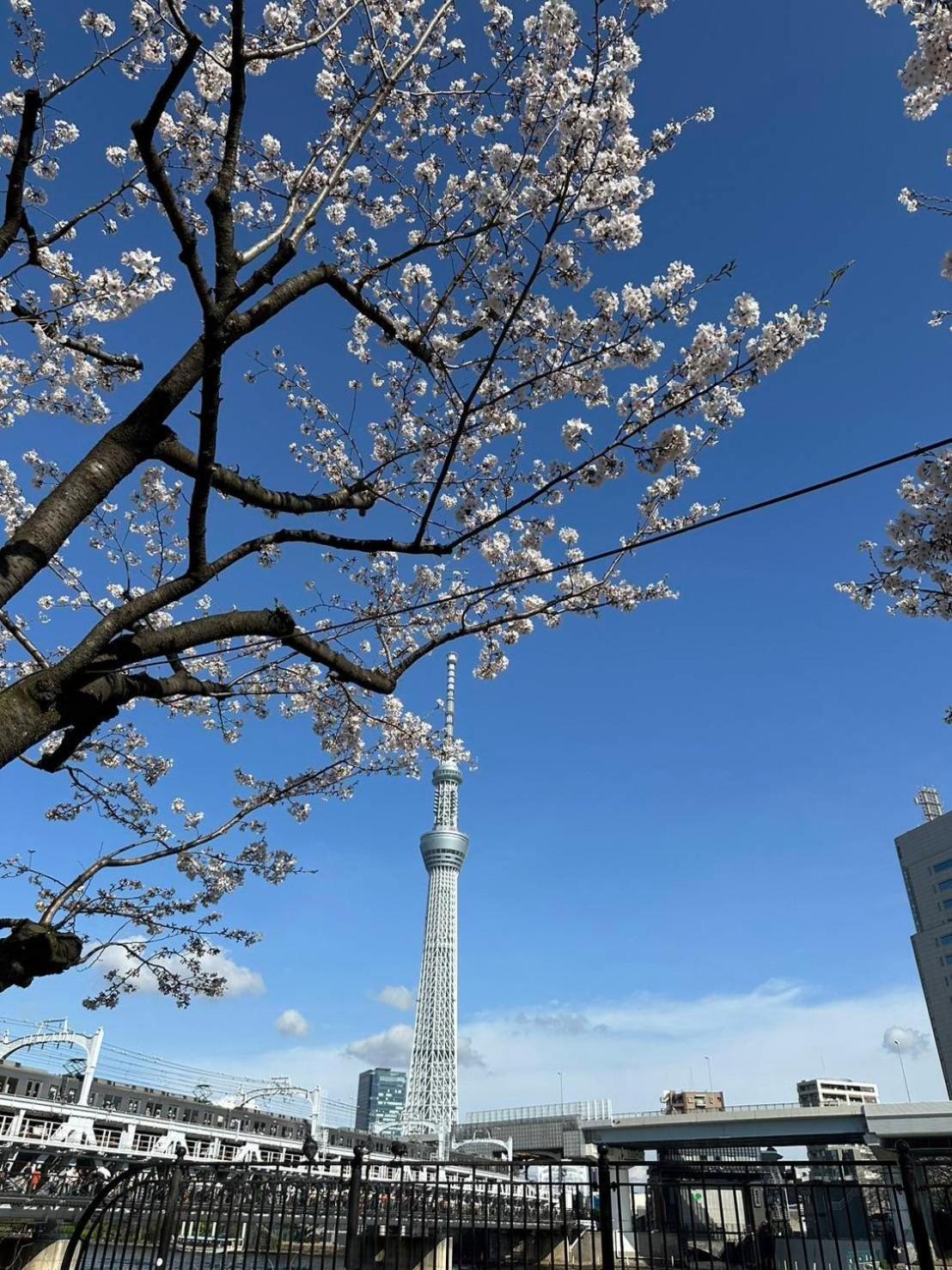 東京雷門ー千の森asakusa