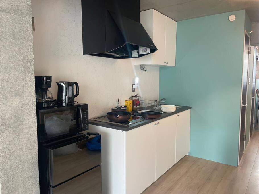 Shibuyayoyogi Shinjuku 8psn 70sqm New Maisonette Apartment Tokyo