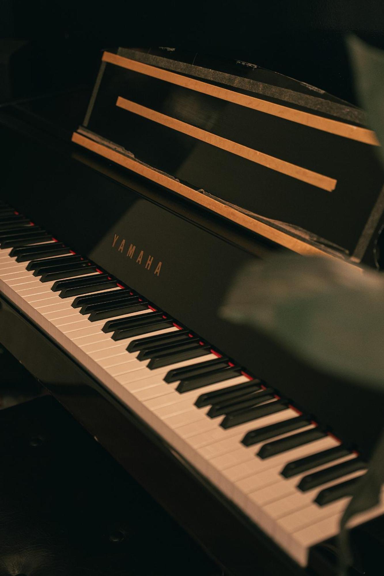 Grand Piano & Shinjuku 5min Walk From Station Villa *