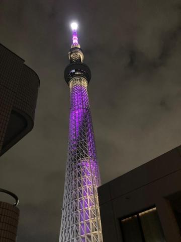 Sky Tree ⅱ（晴樹宿ⅱ） Ryokan *