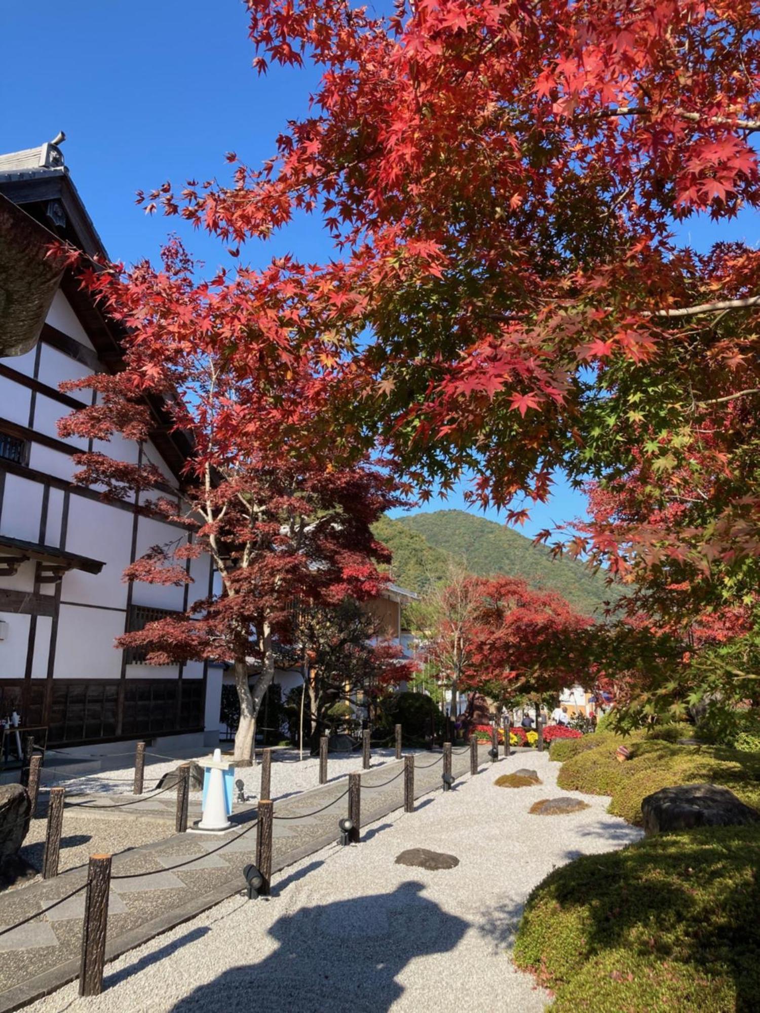 Sky Tree ⅱ（晴樹宿ⅱ） Ryokan Tokyo
