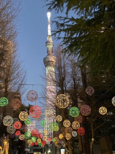 Ryokan Sky Tree ⅱ（晴樹宿ⅱ） *