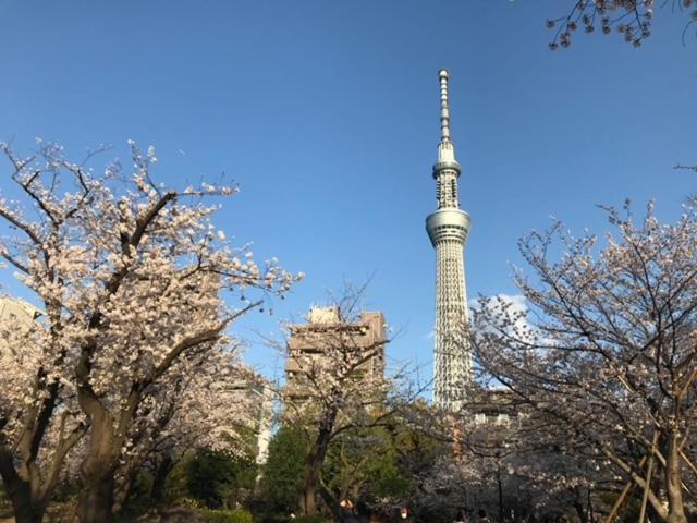 Ryokan Sky Tree ⅱ（晴樹宿ⅱ） Tokyo