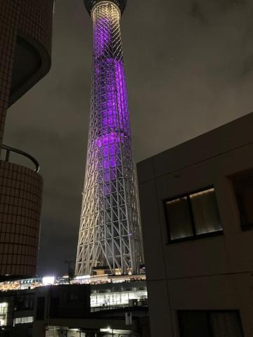 Sky Tree ⅱ（晴樹宿ⅱ） *