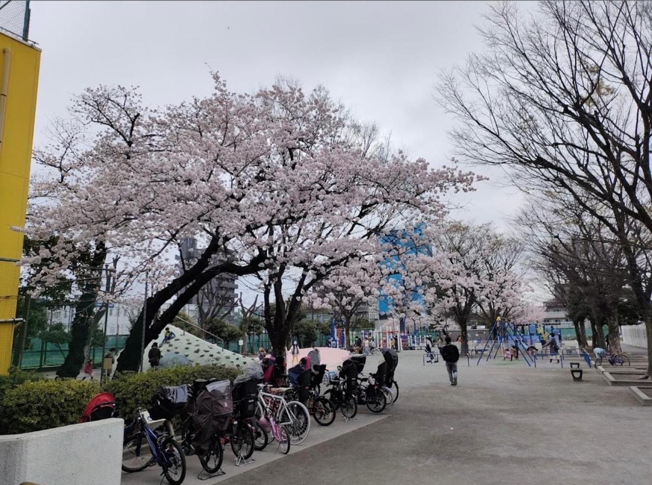 Pal Sky Tree Apartment