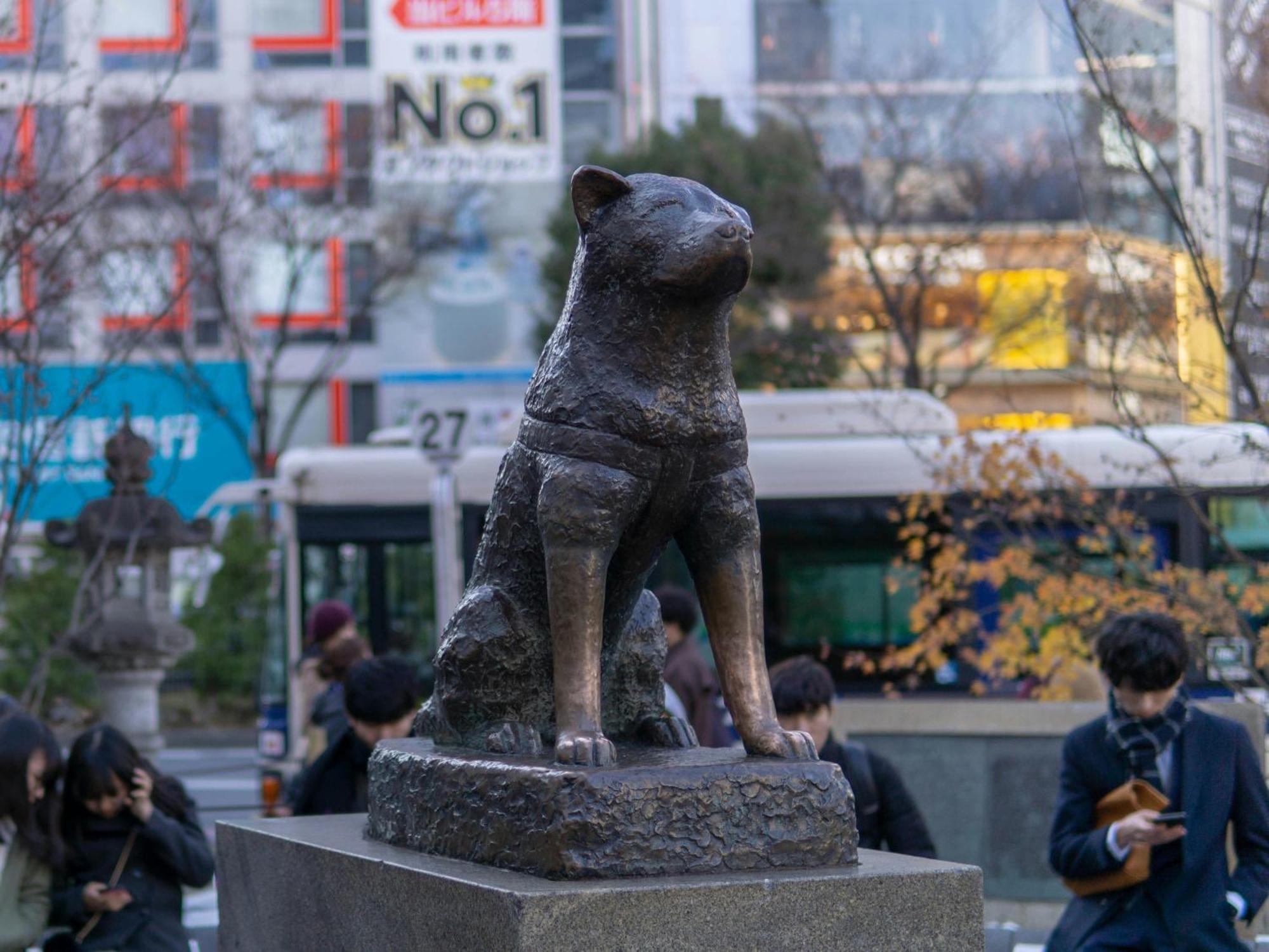 Illi Tria Shibuya