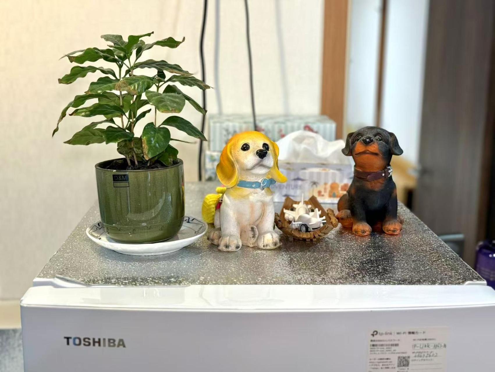 Holiday home 一戸建民泊 St-ar House 東京星宿 Tokyo