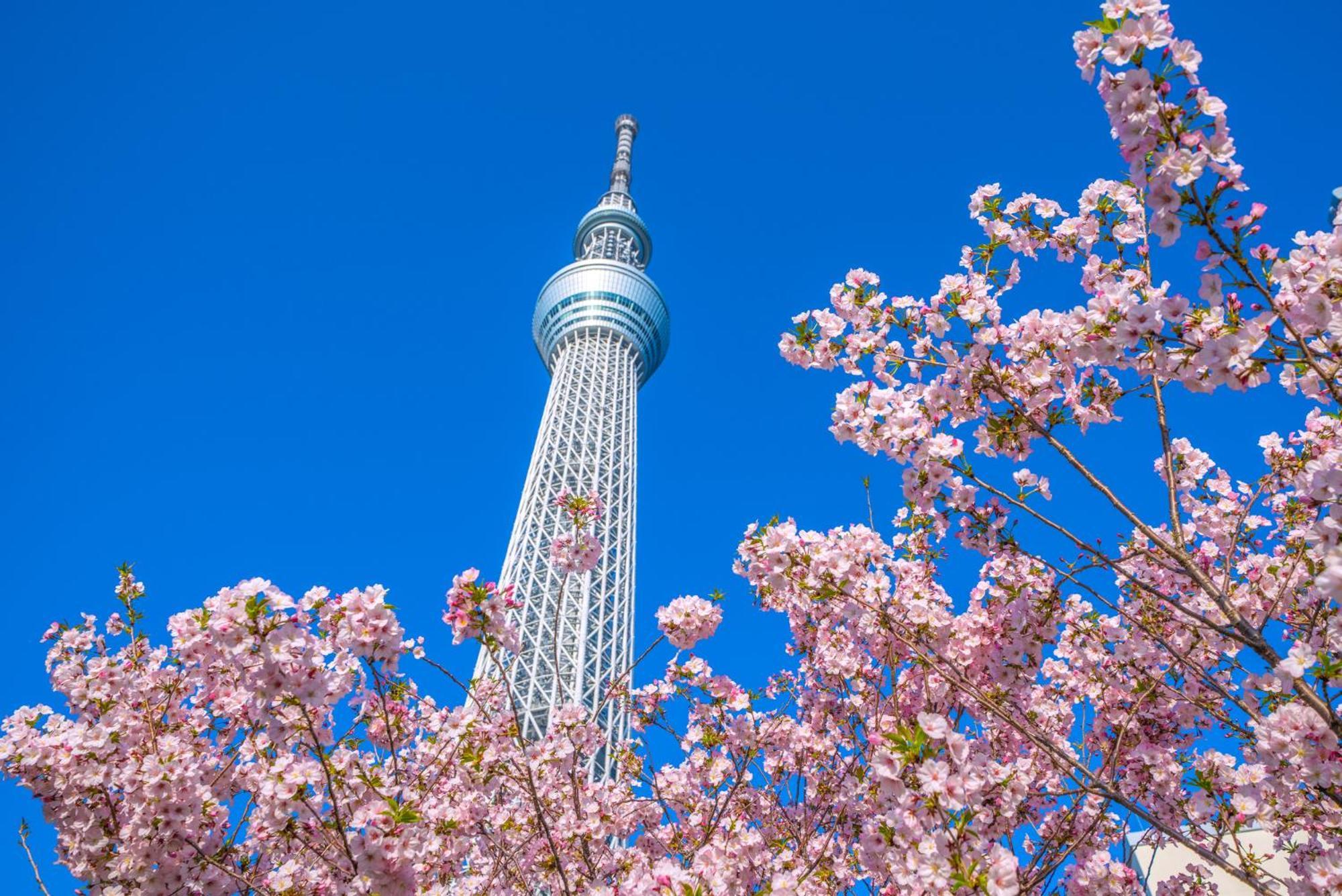 Grand Ldk Nishikasai -grand Opening In 2025- * Tokyo