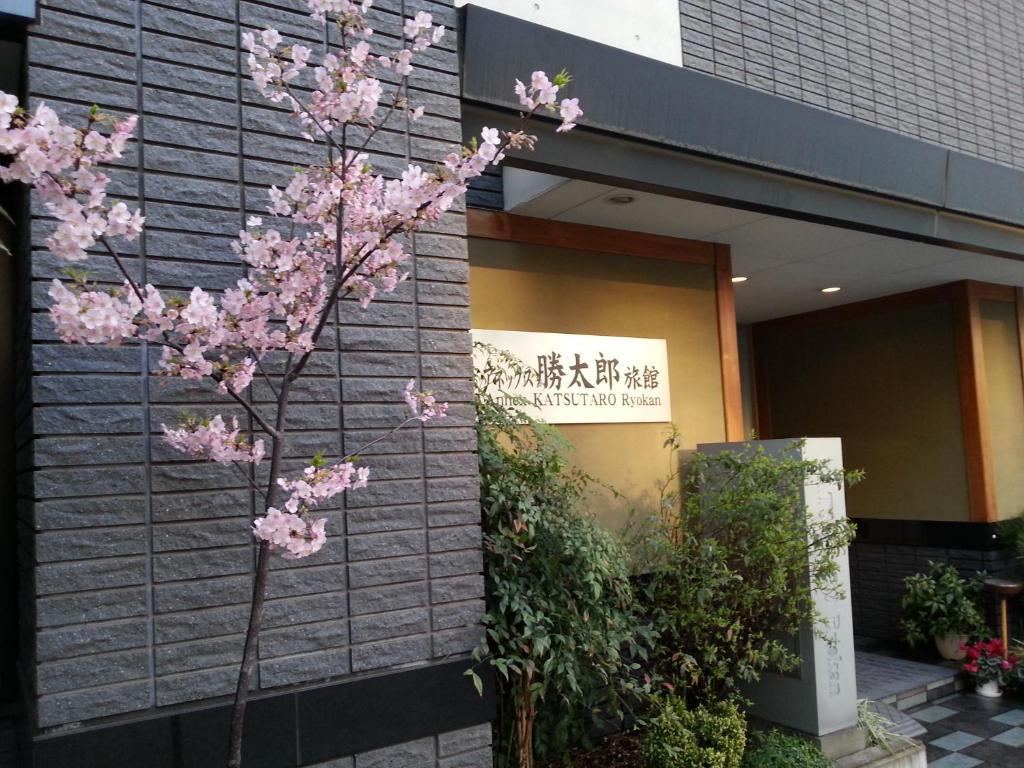 Annex Katsutaro