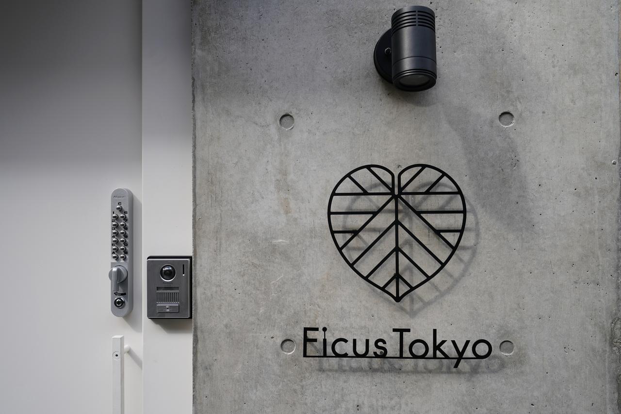 Ficus Akihabara Tokyo