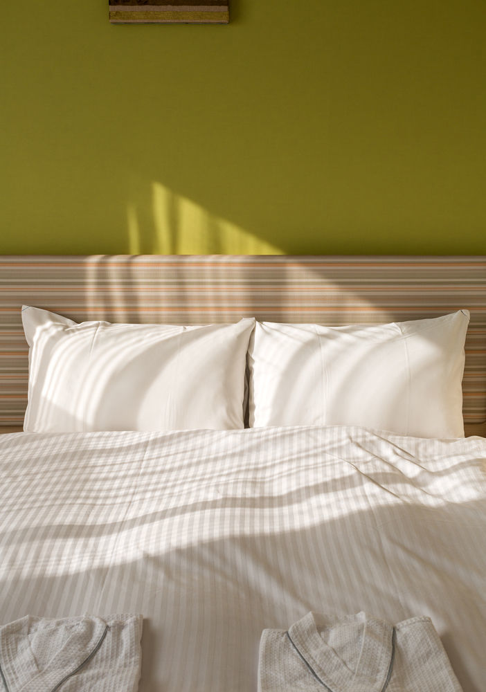 Ueno Hotel 3*