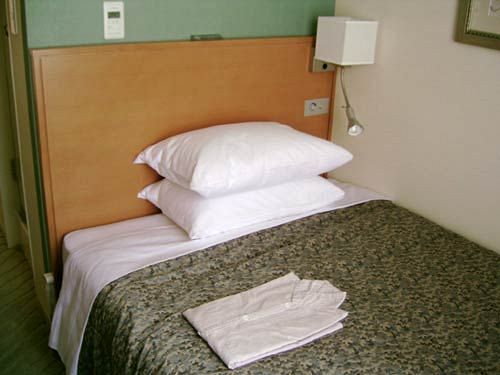 Sunroute Takadanobaba Hotel 3*