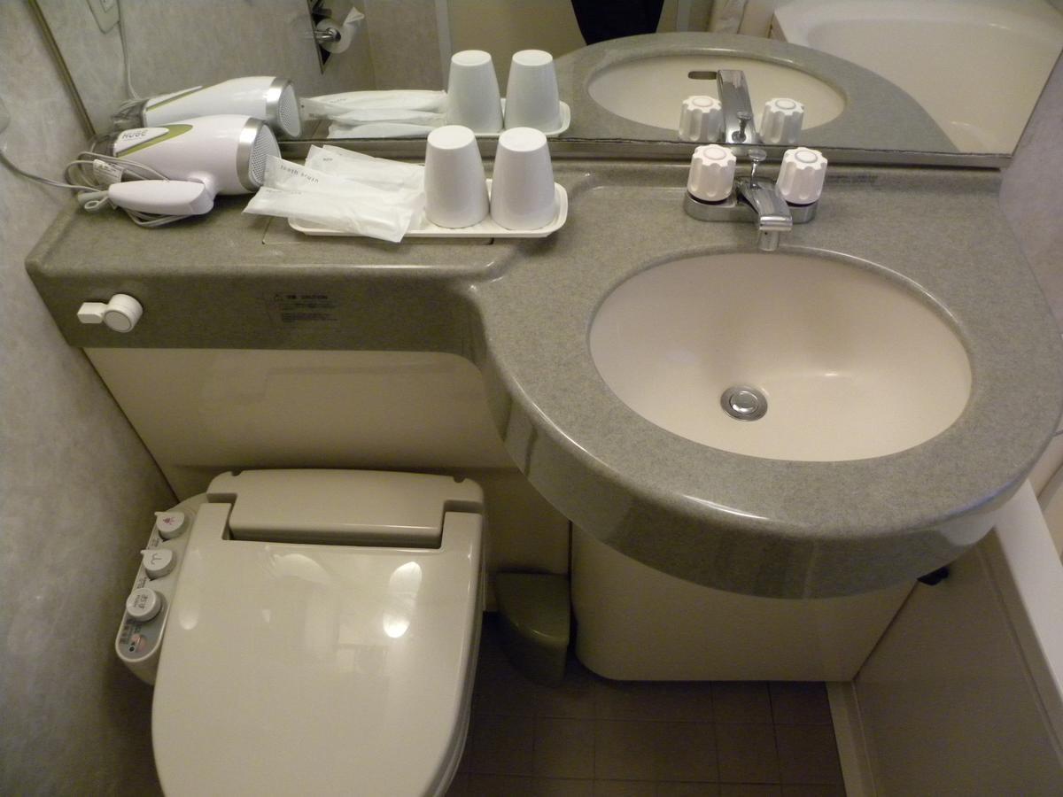 Hotel New Okachimachi
