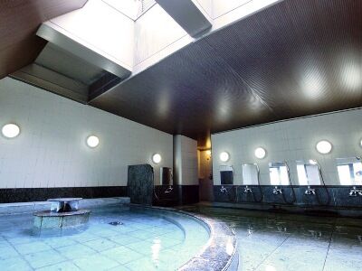Route-inn Gotanda Economy hotel 3*