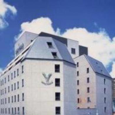 Hotel Ikebukuro Theatres 3*
