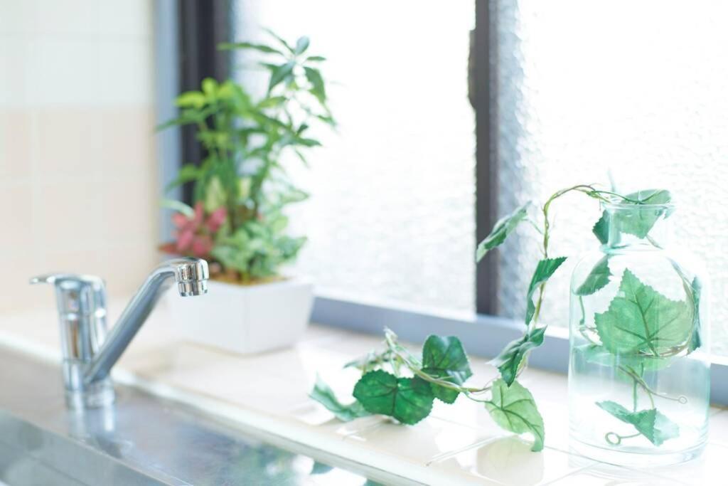 Esperanza103 広い綺麗快適高速wifi Apartment