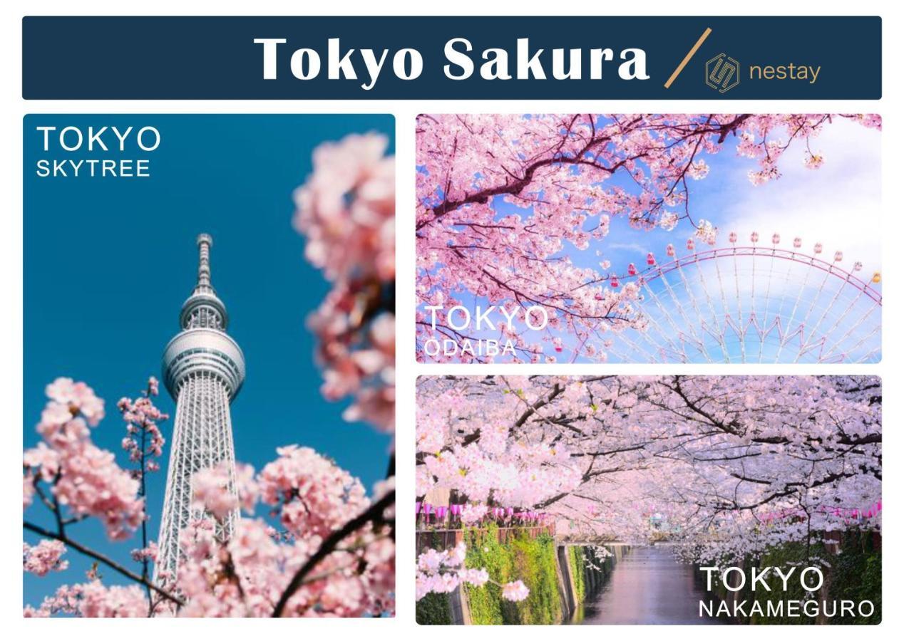 Nestay Kagurazaka 3* Tokyo