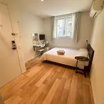 Ficus Tokyo