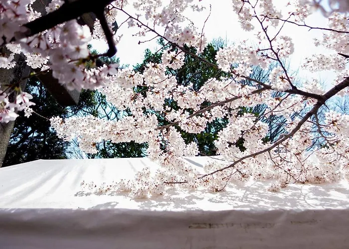 Tora Hotel Tokyo-Kitaueno 寅ホテル北上野