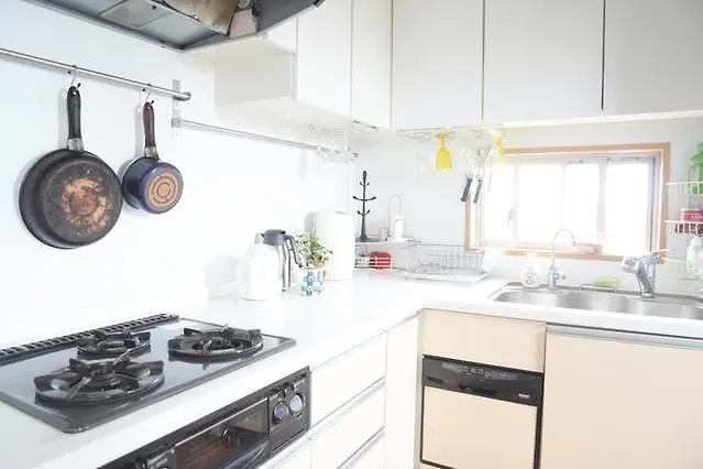 Shibuya Penthouse Luxurious Apartment