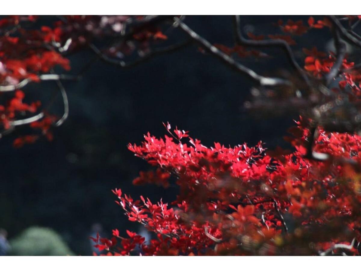 Tora Rikugien - Vacation 52726v