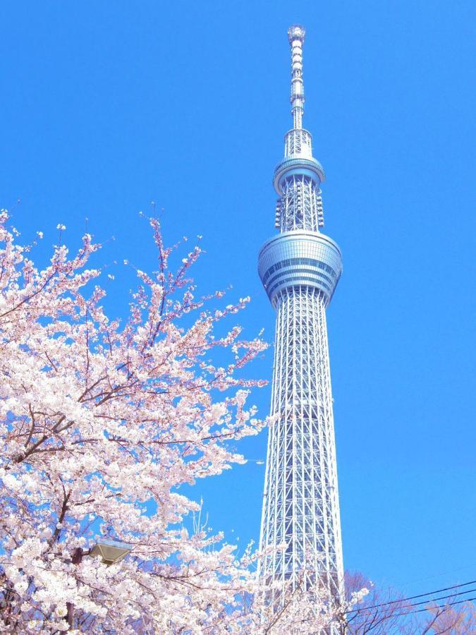 Peace Skytree Inn