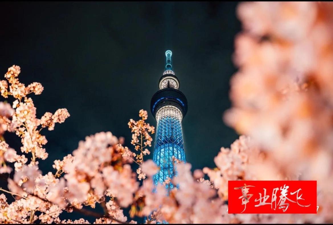 Apartment Sky House晴空塔106