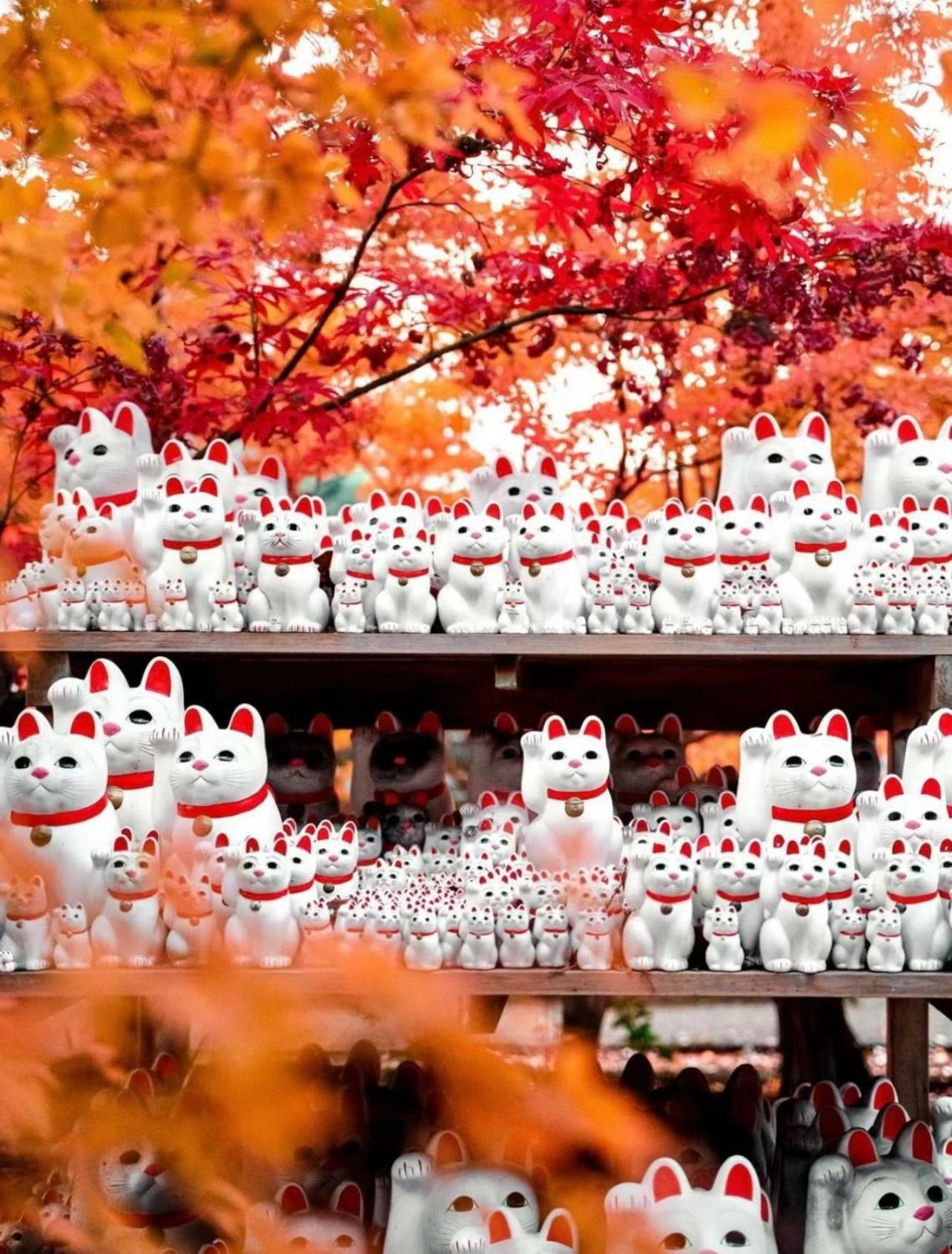 吉吉の家 Tokyo
