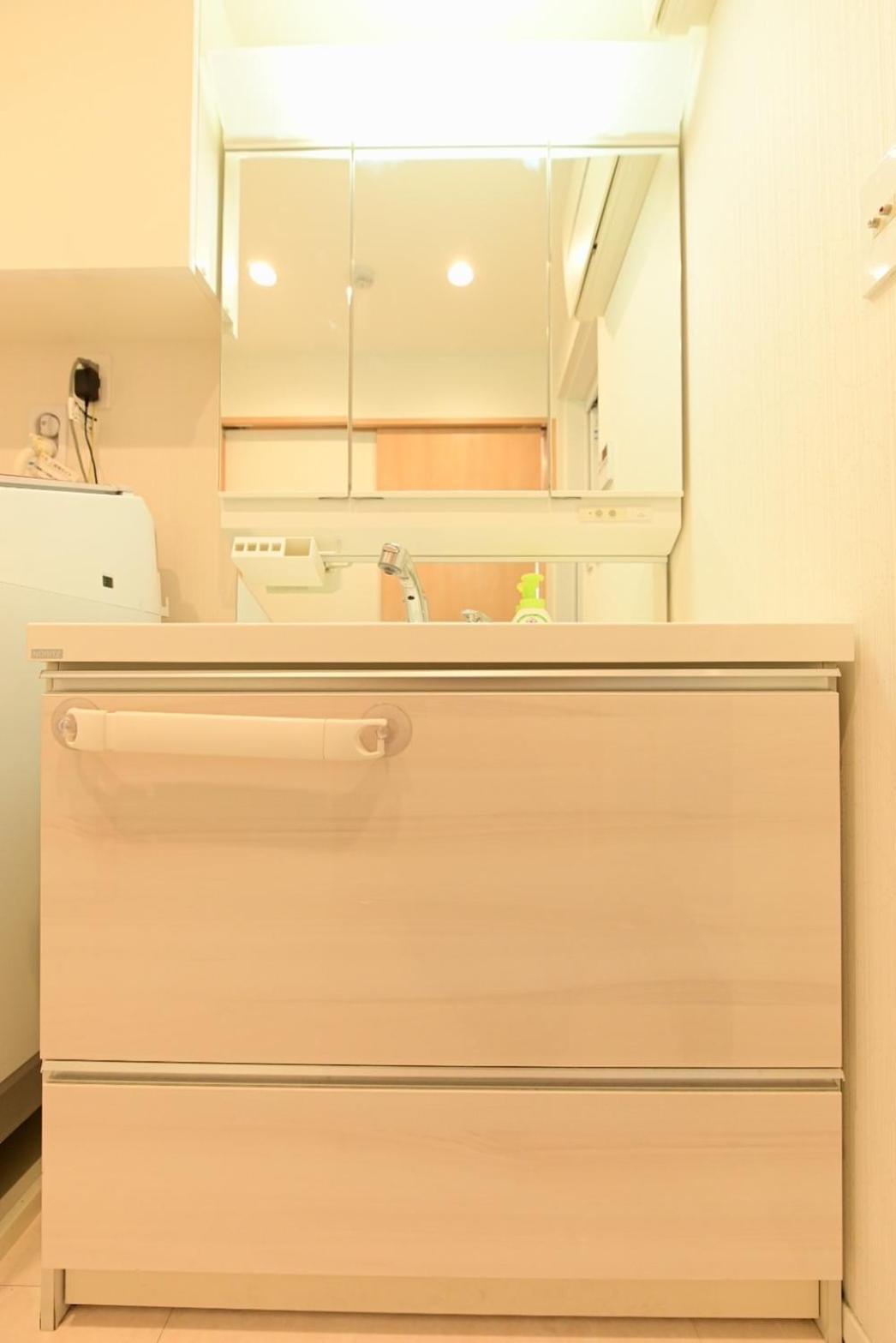 Villa 全新4居室出租！距离池袋（ikebukuro)1站