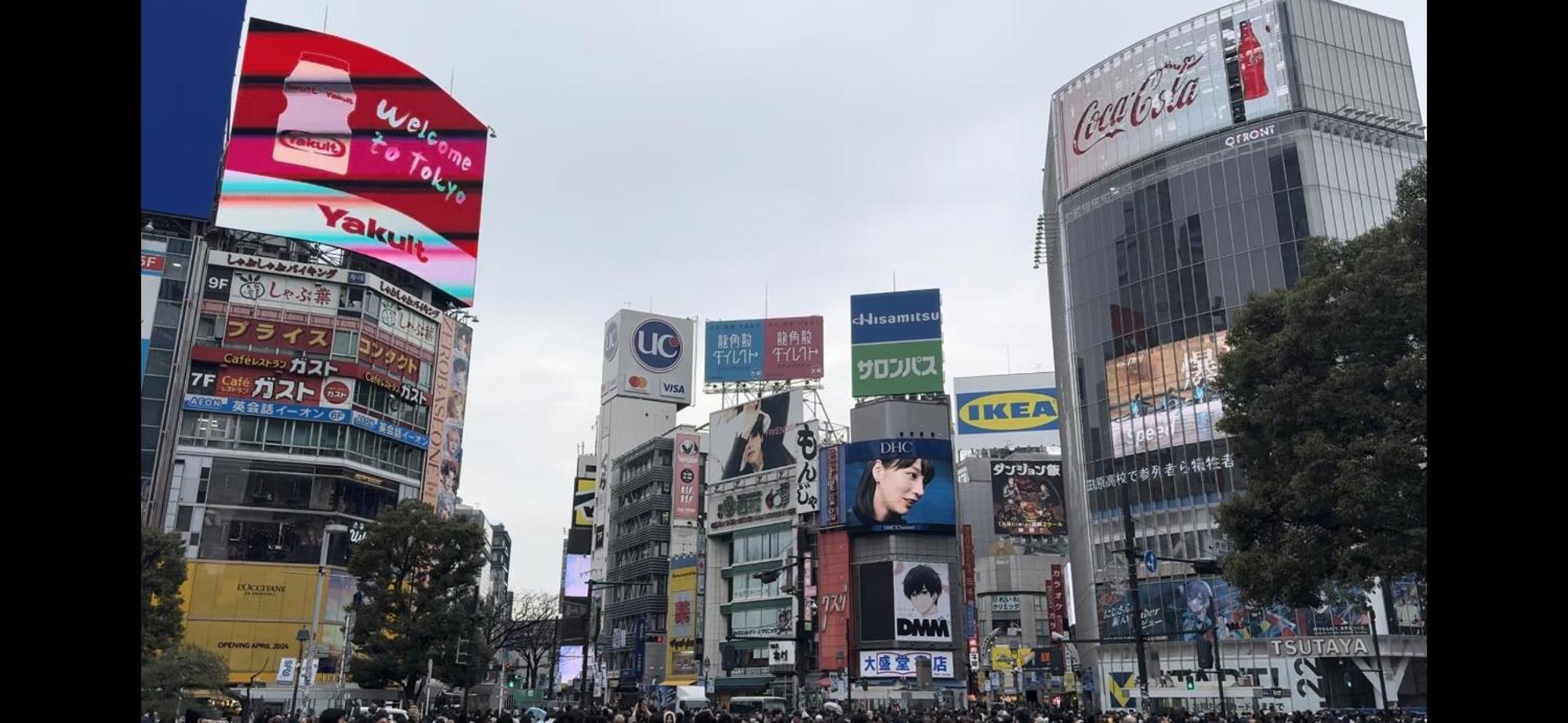 Kusunoki Shinjuku Villa