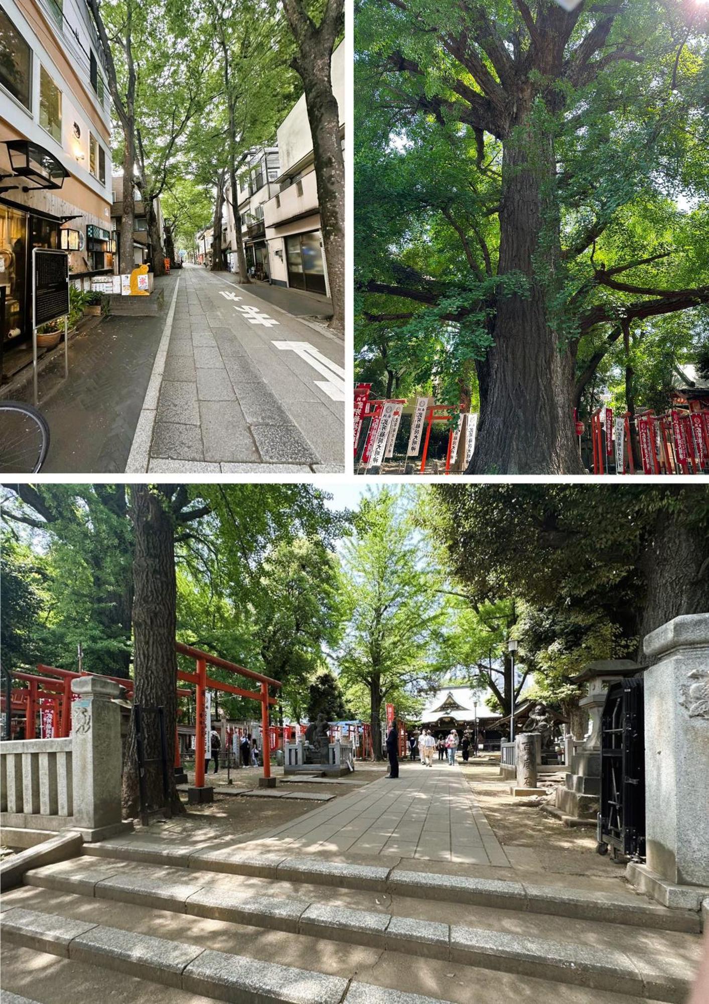 雅ⅱ Tokyo