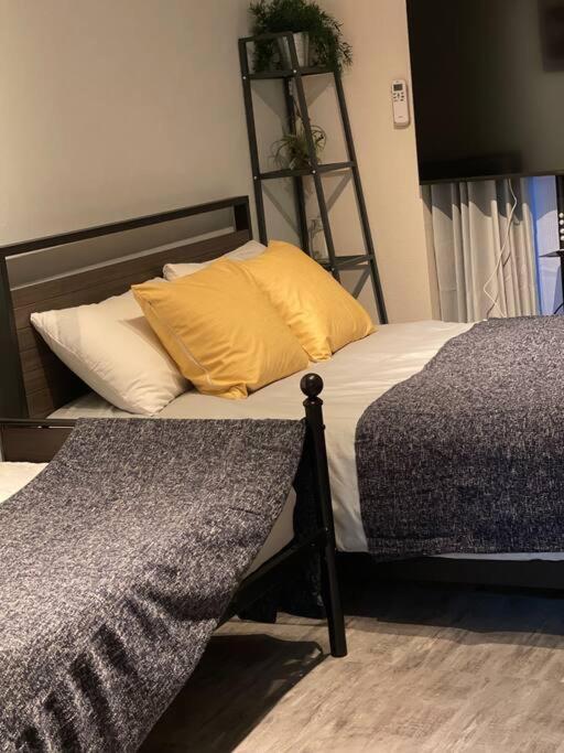 Apartment 日本の下町新小岩デメテル202 *