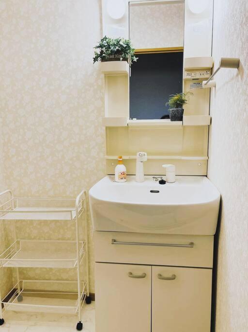 Apartment 日本の下町新小岩デメテル202 Tokyo