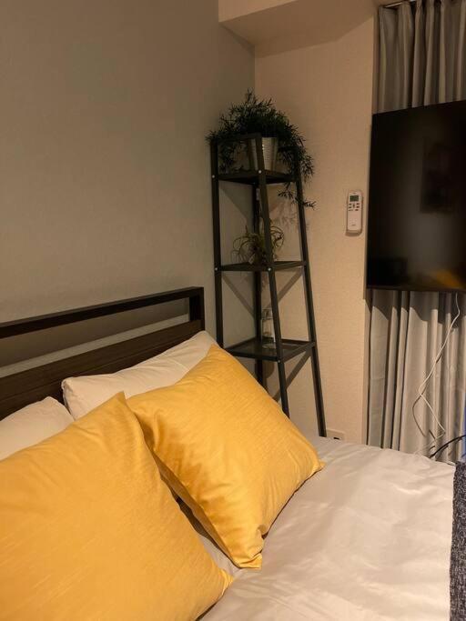 Apartment 日本の下町新小岩デメテル202 Tokyo