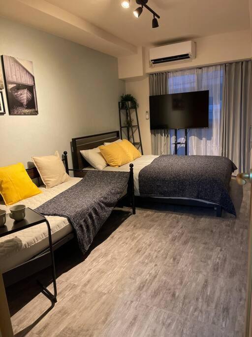 日本の下町新小岩デメテル202 Apartment Tokyo