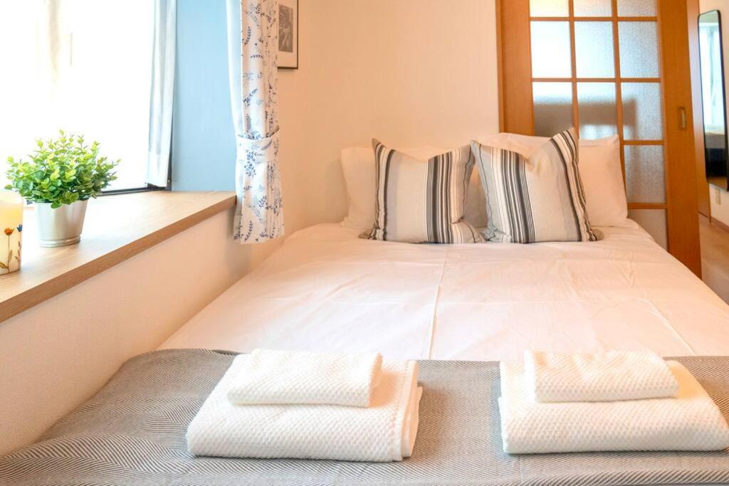 Apartment 新宿一站5分钟-酒馆购物街-安静品质公寓-直达皇居秋叶原-104 Tokyo