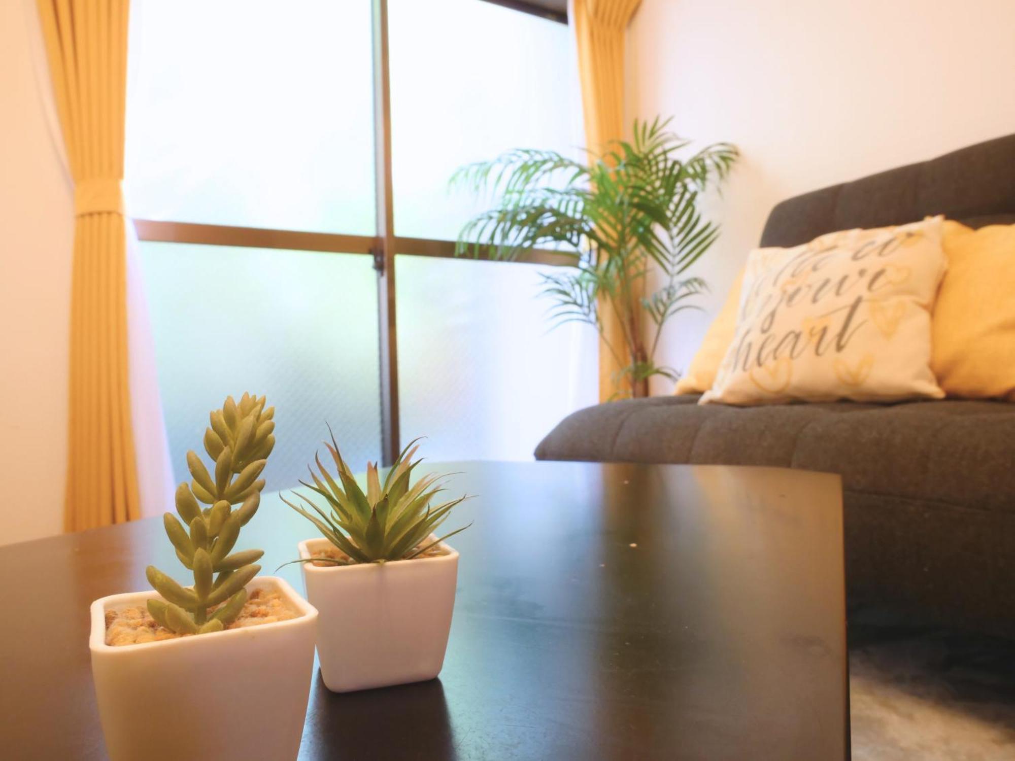 Apartment Lucky Yotsugi - ラッキー四ツ木 *
