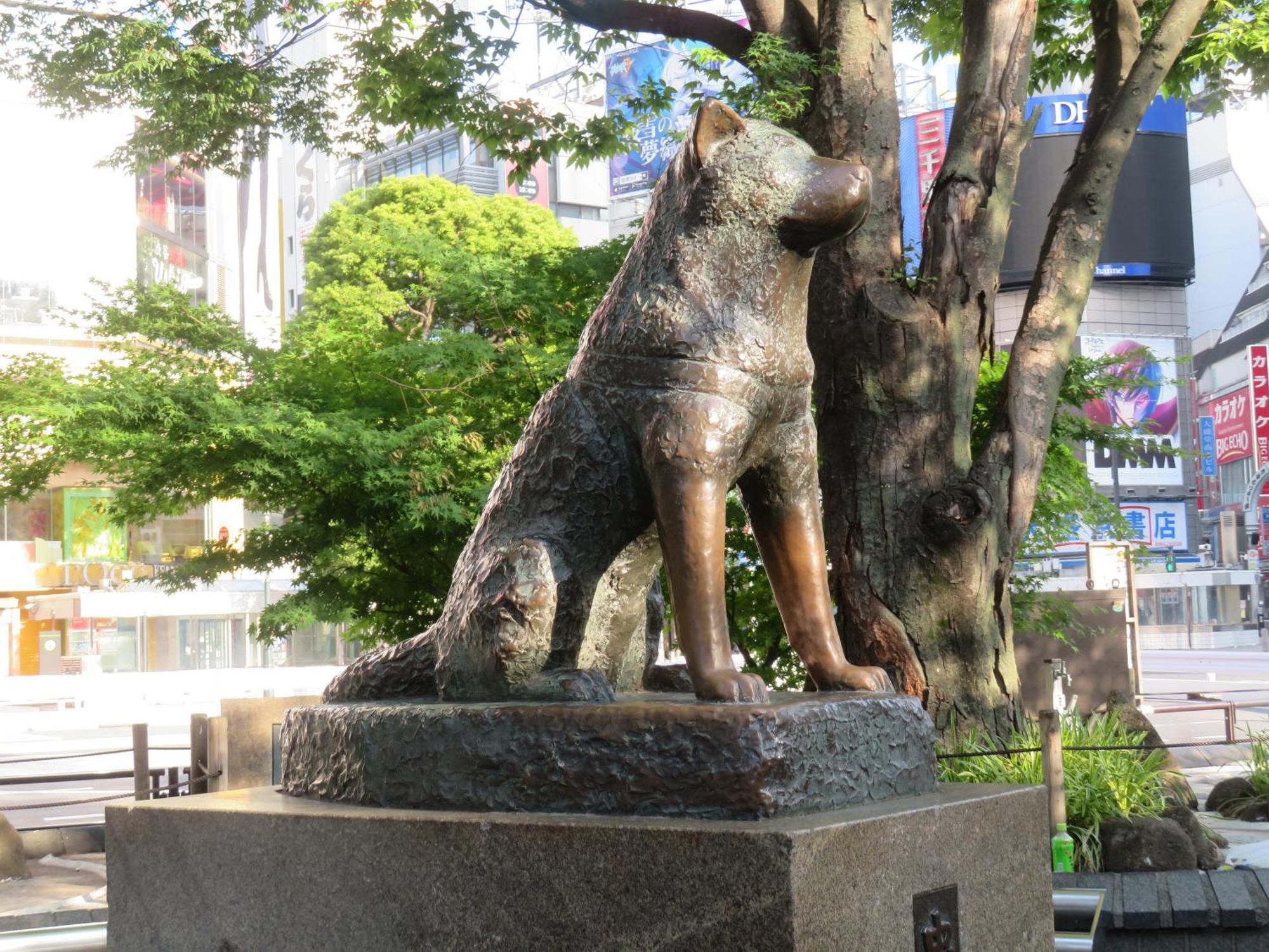 Apa Shibuya Dogenzakaue Hotel