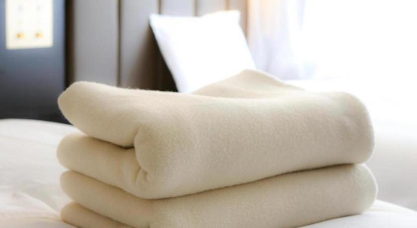 Apa Kamata Eki-nishi Hotel 3*