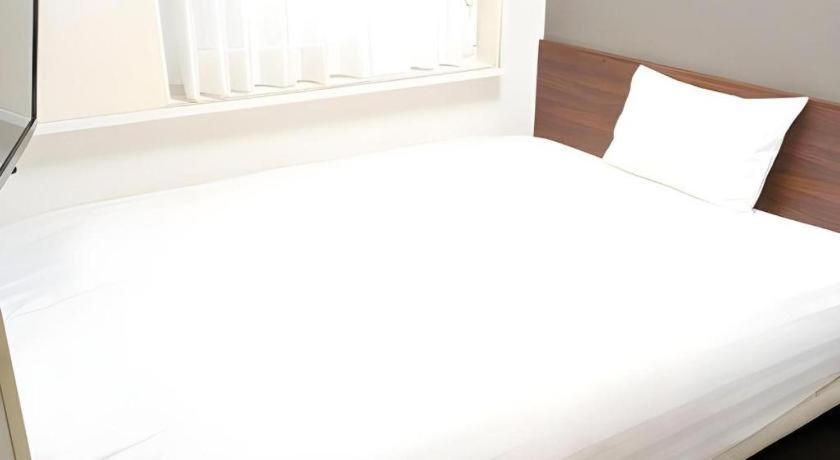 Annex Check In Shimbashi Hotel