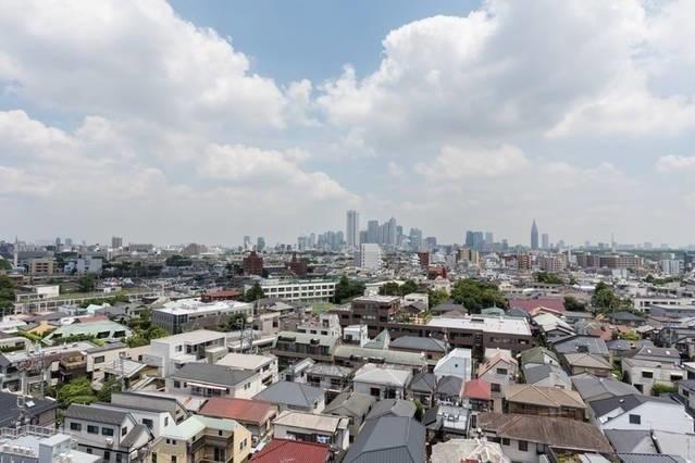 Shibuya Penthouse Luxurious Tokyo