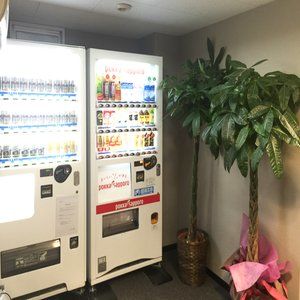 Livemax Omori-ekimae Hotel Tokyo