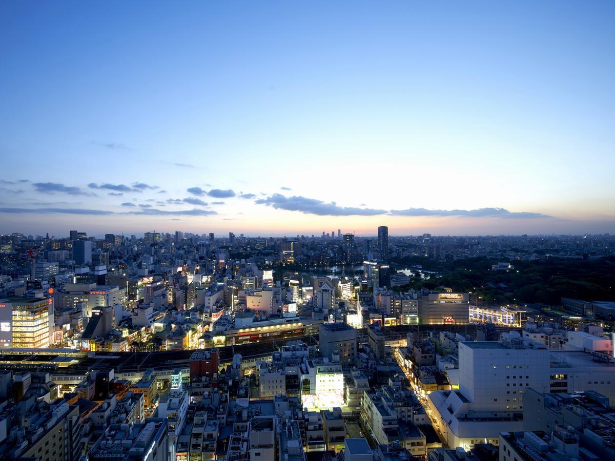 Crown Hills Ueno Premier 3*