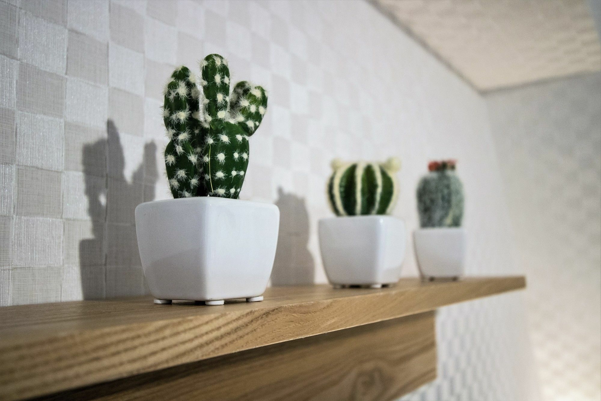 Aparthotel Petit Grande Homes